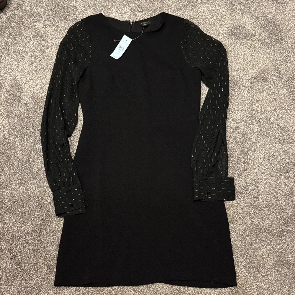 Ann Taylor Dress with Sheer Metallic Statement Sleeves - wedding guest - Picture 2 of 11